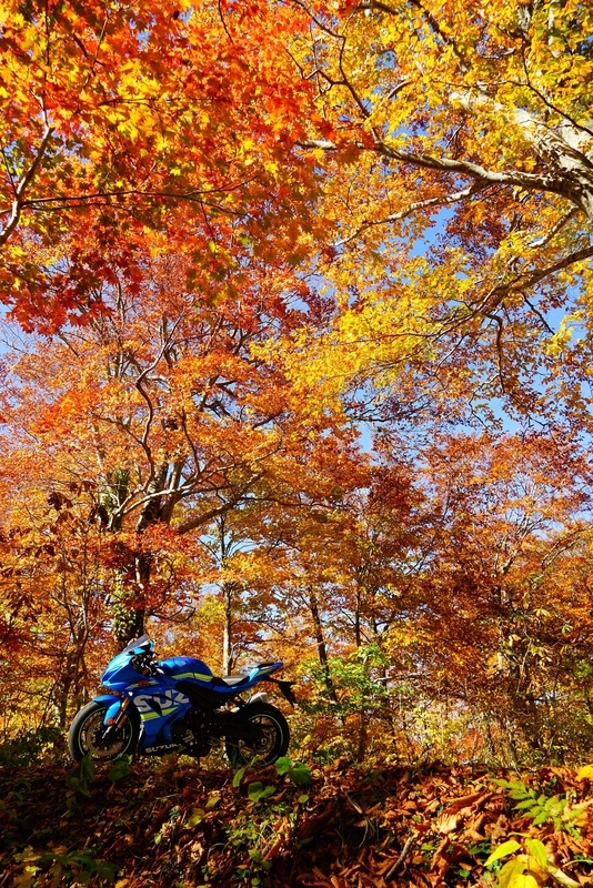 f:id:GSX-R1000:20181105142731j:plain