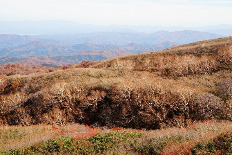 f:id:GSX-R1000:20181105143531j:plain