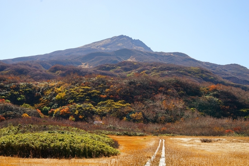 f:id:GSX-R1000:20181105143840j:plain
