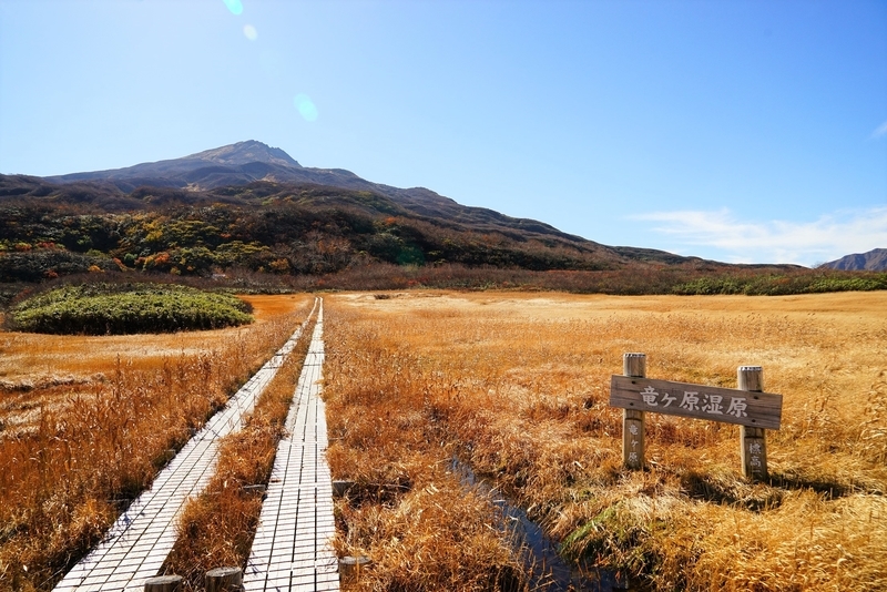 f:id:GSX-R1000:20181105143847j:plain