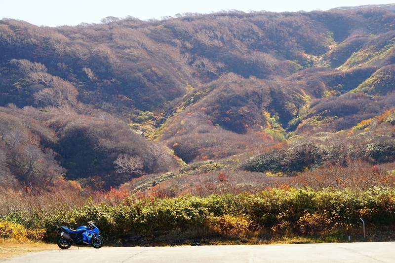 f:id:GSX-R1000:20181105144136j:plain