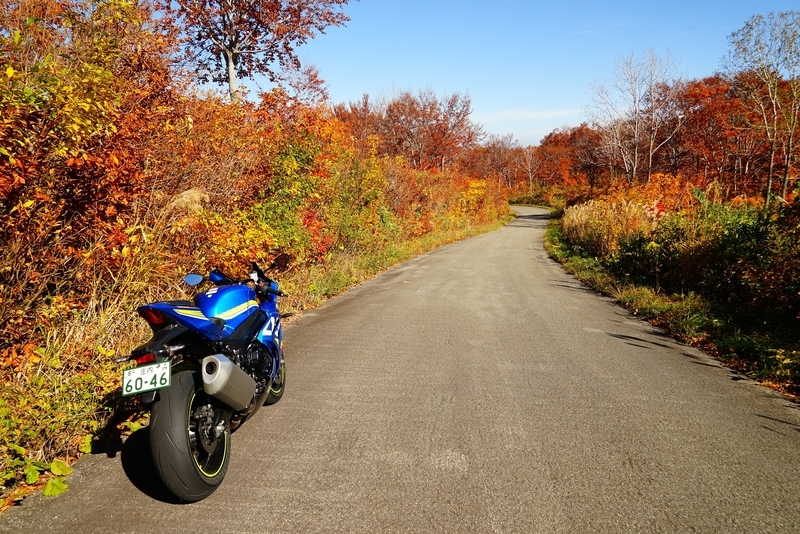 f:id:GSX-R1000:20181105144428j:plain