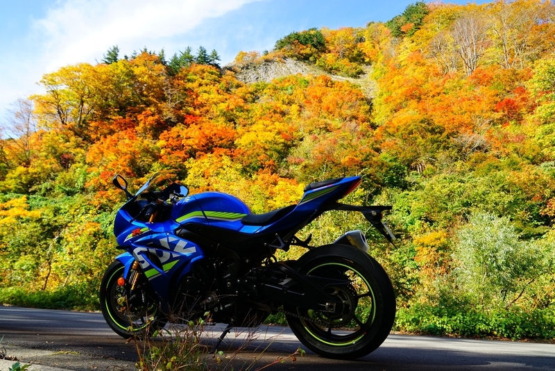 f:id:GSX-R1000:20181105144642j:plain