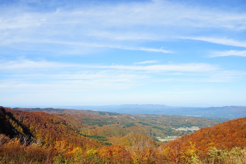 f:id:GSX-R1000:20181105144929j:plain