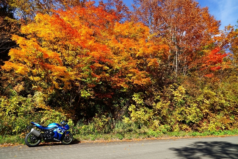 f:id:GSX-R1000:20181105144934j:plain