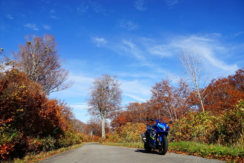 f:id:GSX-R1000:20181105145225j:plain