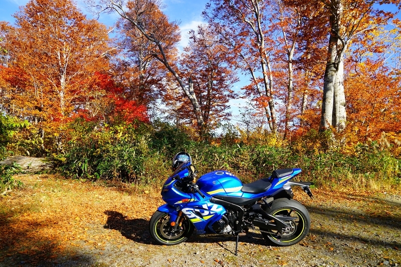f:id:GSX-R1000:20181105145649j:plain