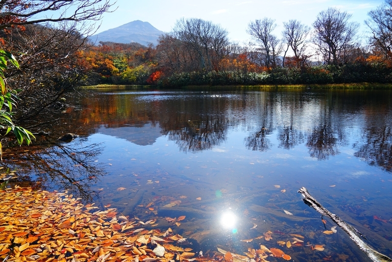 f:id:GSX-R1000:20181105145654j:plain