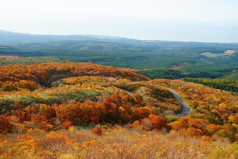 f:id:GSX-R1000:20181105145949j:plain