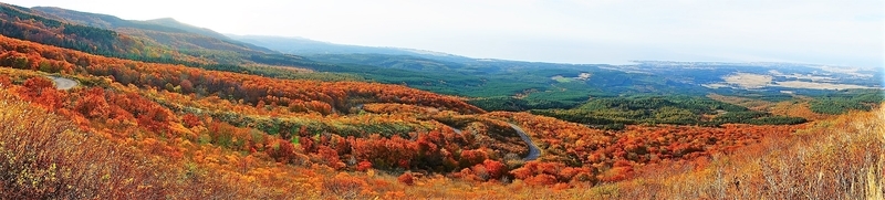 f:id:GSX-R1000:20181105150138j:plain