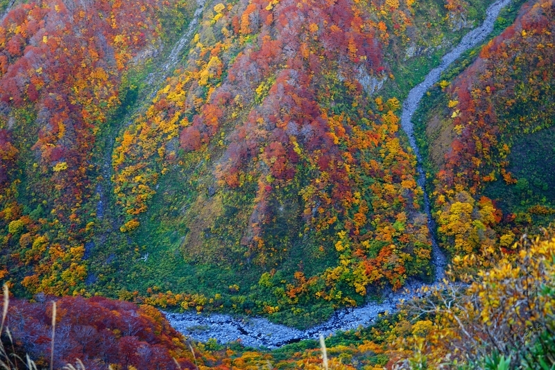 f:id:GSX-R1000:20181105150424j:plain