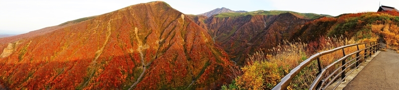 f:id:GSX-R1000:20181105150658j:plain