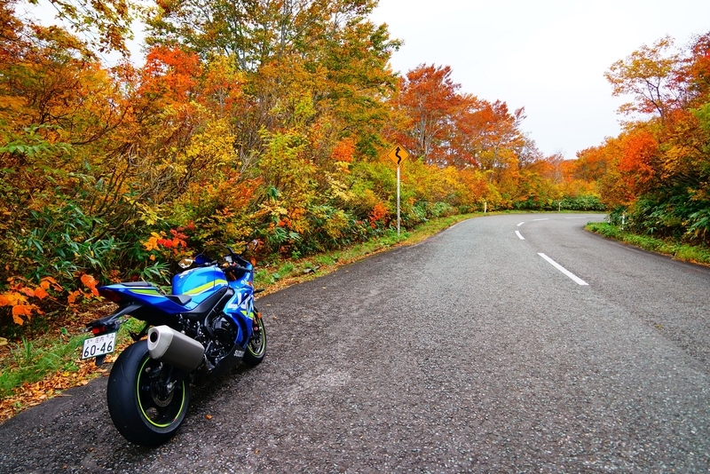 f:id:GSX-R1000:20181105150858j:plain