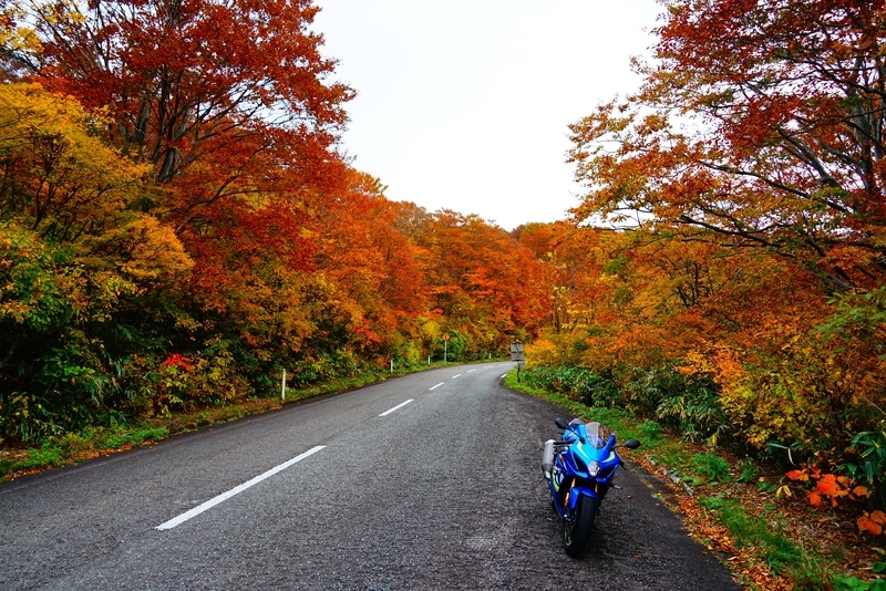 f:id:GSX-R1000:20181105150910j:plain