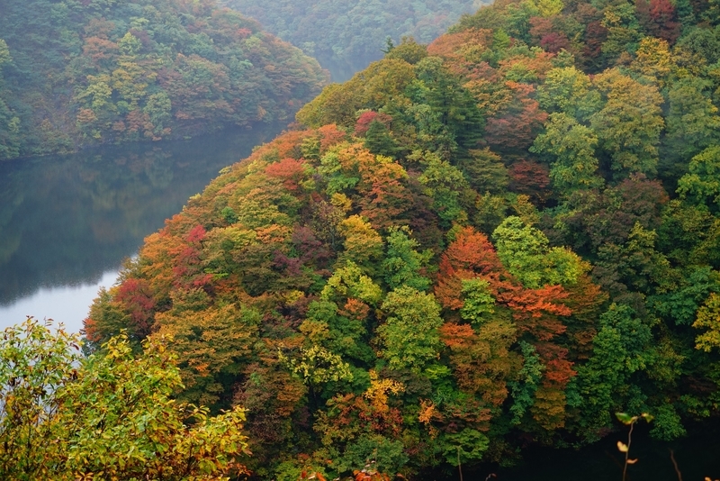 f:id:GSX-R1000:20181112205141j:plain