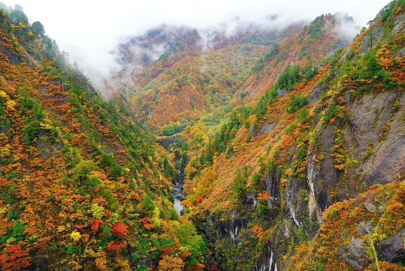 f:id:GSX-R1000:20181112210444j:plain