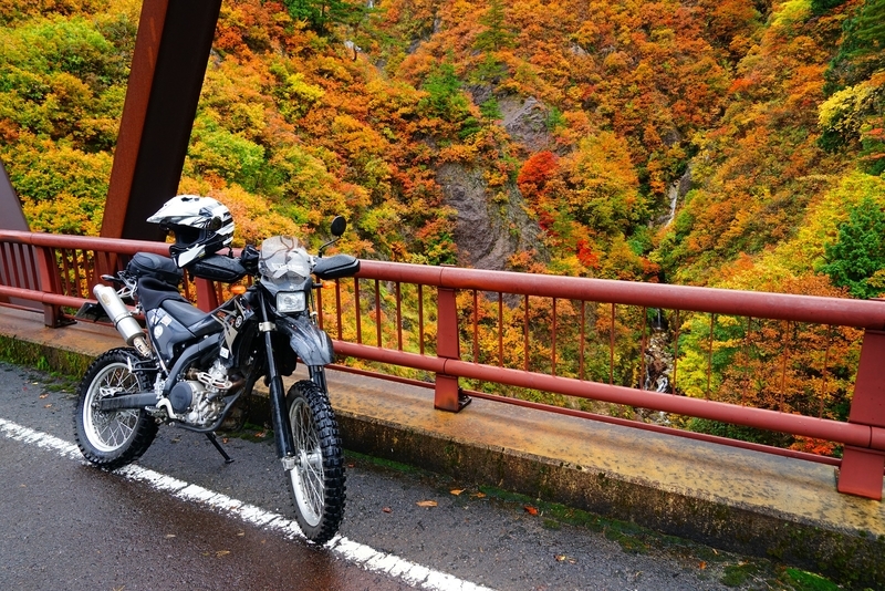 f:id:GSX-R1000:20181112210617j:plain