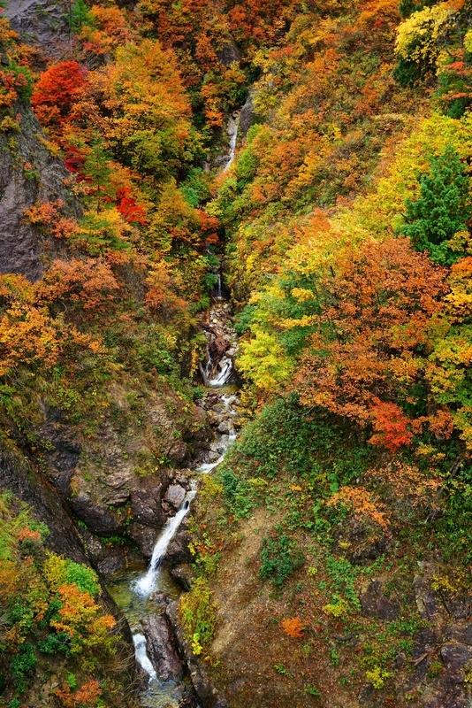 f:id:GSX-R1000:20181112211244j:plain