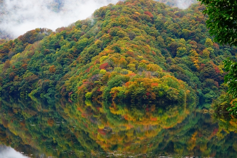 f:id:GSX-R1000:20181112212552j:plain