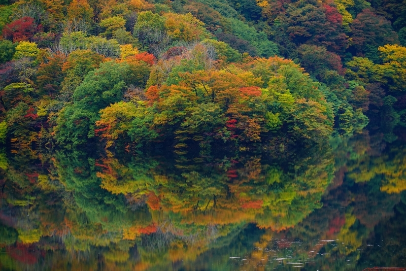 f:id:GSX-R1000:20181112212933j:plain