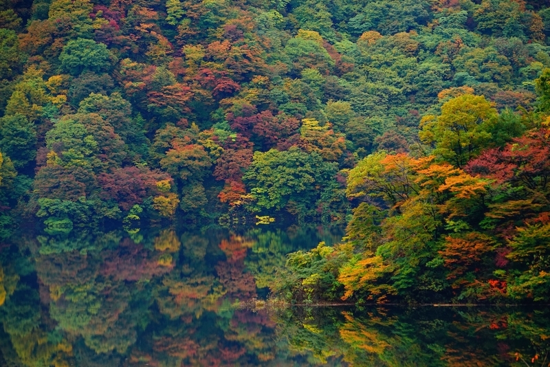 f:id:GSX-R1000:20181112212939j:plain