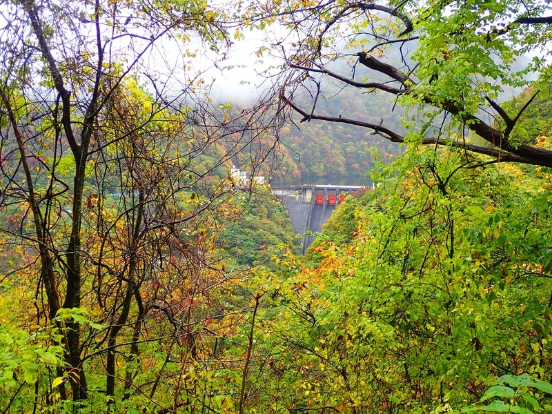 f:id:GSX-R1000:20181112220011j:plain