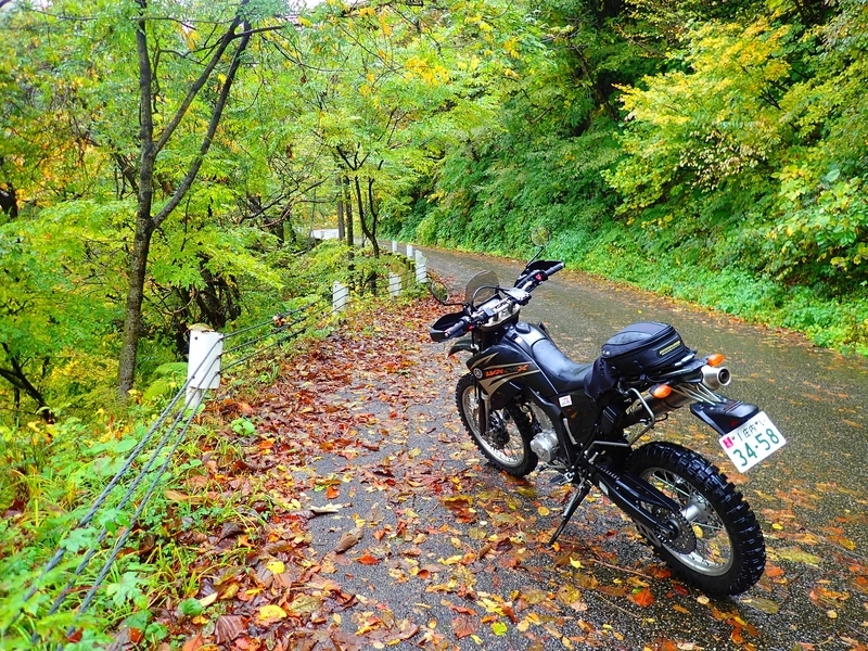 f:id:GSX-R1000:20181112220159j:plain