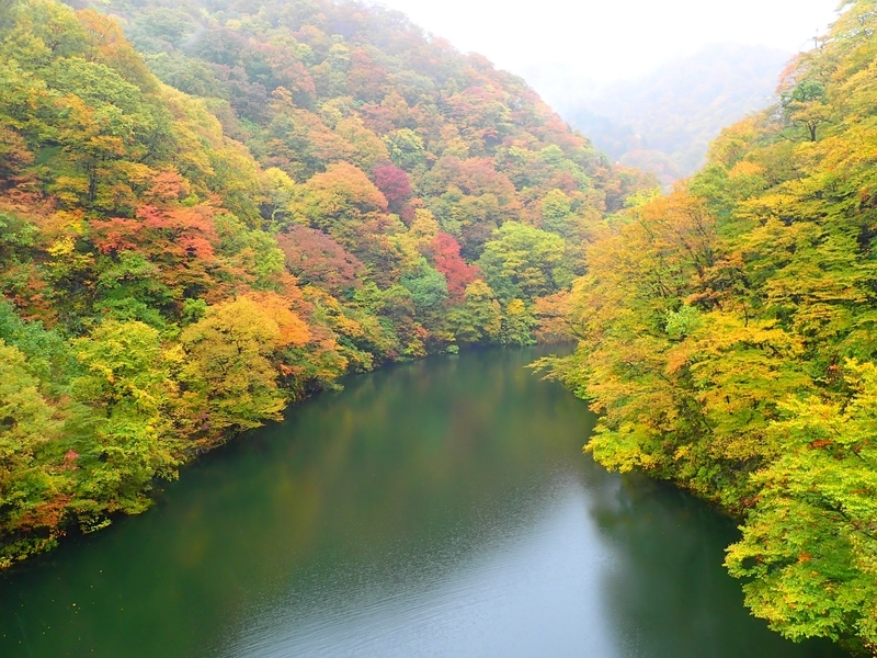 f:id:GSX-R1000:20181112220503j:plain