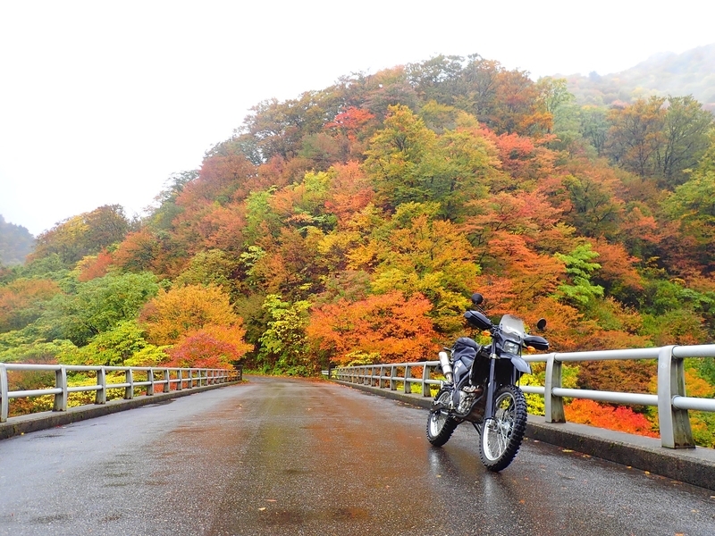 f:id:GSX-R1000:20181112220740j:plain