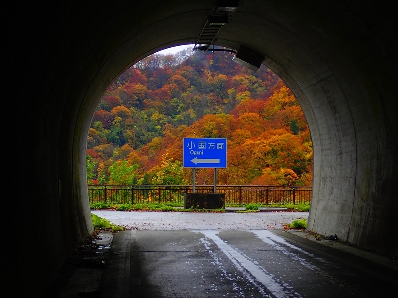 f:id:GSX-R1000:20181112221206j:plain