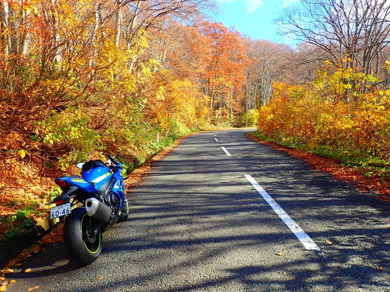 f:id:GSX-R1000:20181116160401j:plain f:id:GSX-R1000:20181116160401j:plain