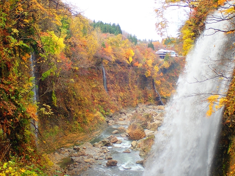 f:id:GSX-R1000:20181201203113j:plain