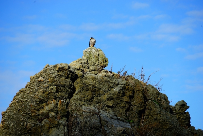 f:id:GSX-R1000:20181203214826j:plain