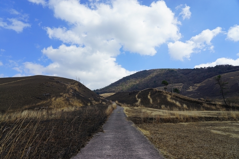 f:id:GSX-R1000:20190403203049j:plain