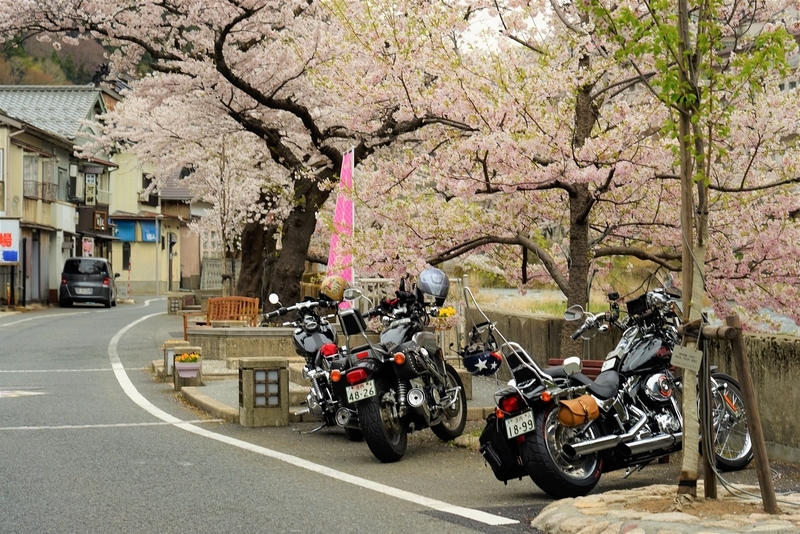 f:id:GSX-R1000:20190424210744j:plain