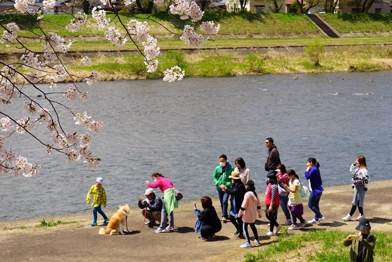 f:id:GSX-R1000:20190505162051j:plain