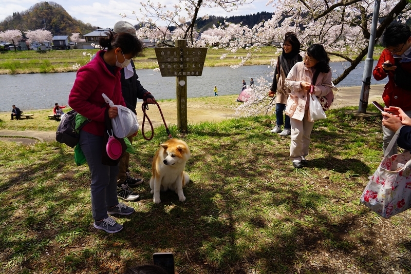 f:id:GSX-R1000:20190505162106j:plain