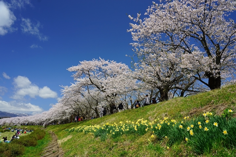 f:id:GSX-R1000:20190505162117j:plain