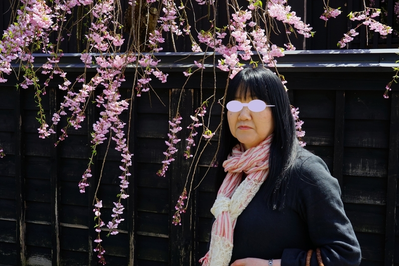 f:id:GSX-R1000:20190505162326j:plain