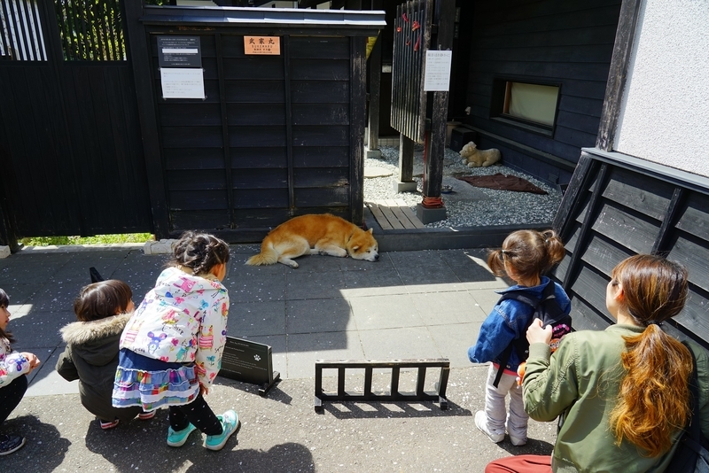 f:id:GSX-R1000:20190505162456j:plain