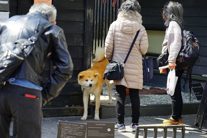 f:id:GSX-R1000:20190505162511j:plain