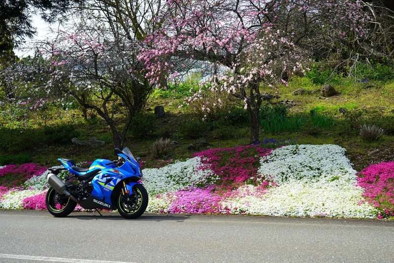 f:id:GSX-R1000:20190506153921j:plain