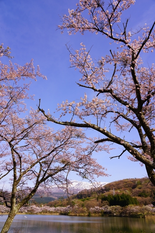 f:id:GSX-R1000:20190506154142j:plain