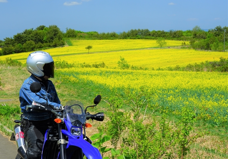 f:id:GSX-R1000:20190527202310j:plain f:id:GSX-R1000:20190527202310j:plain