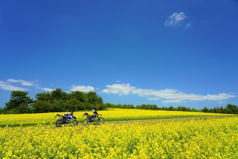 f:id:GSX-R1000:20190527202320j:plain f:id:GSX-R1000:20190527202320j:plain