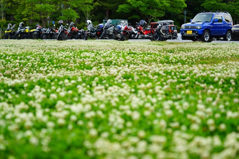 f:id:GSX-R1000:20190602221810j:plain