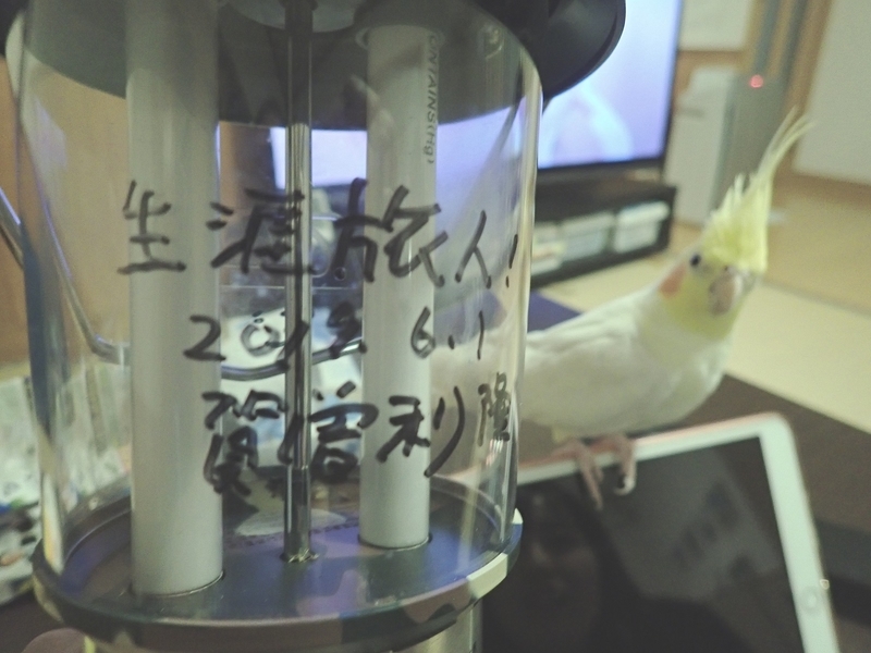 f:id:GSX-R1000:20190603193315j:plain