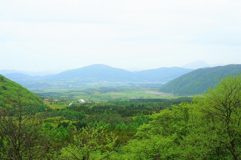 f:id:GSX-R1000:20190607200504j:plain