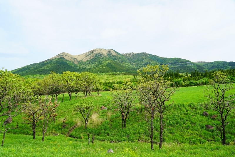 f:id:GSX-R1000:20190607200845j:plain