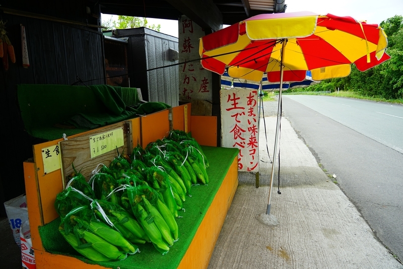 f:id:GSX-R1000:20190607201338j:plain